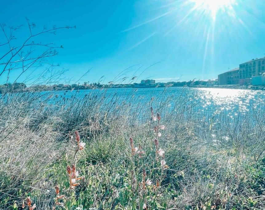 La Casita ,appartement Face A L'etang Apartment Le Barcarès